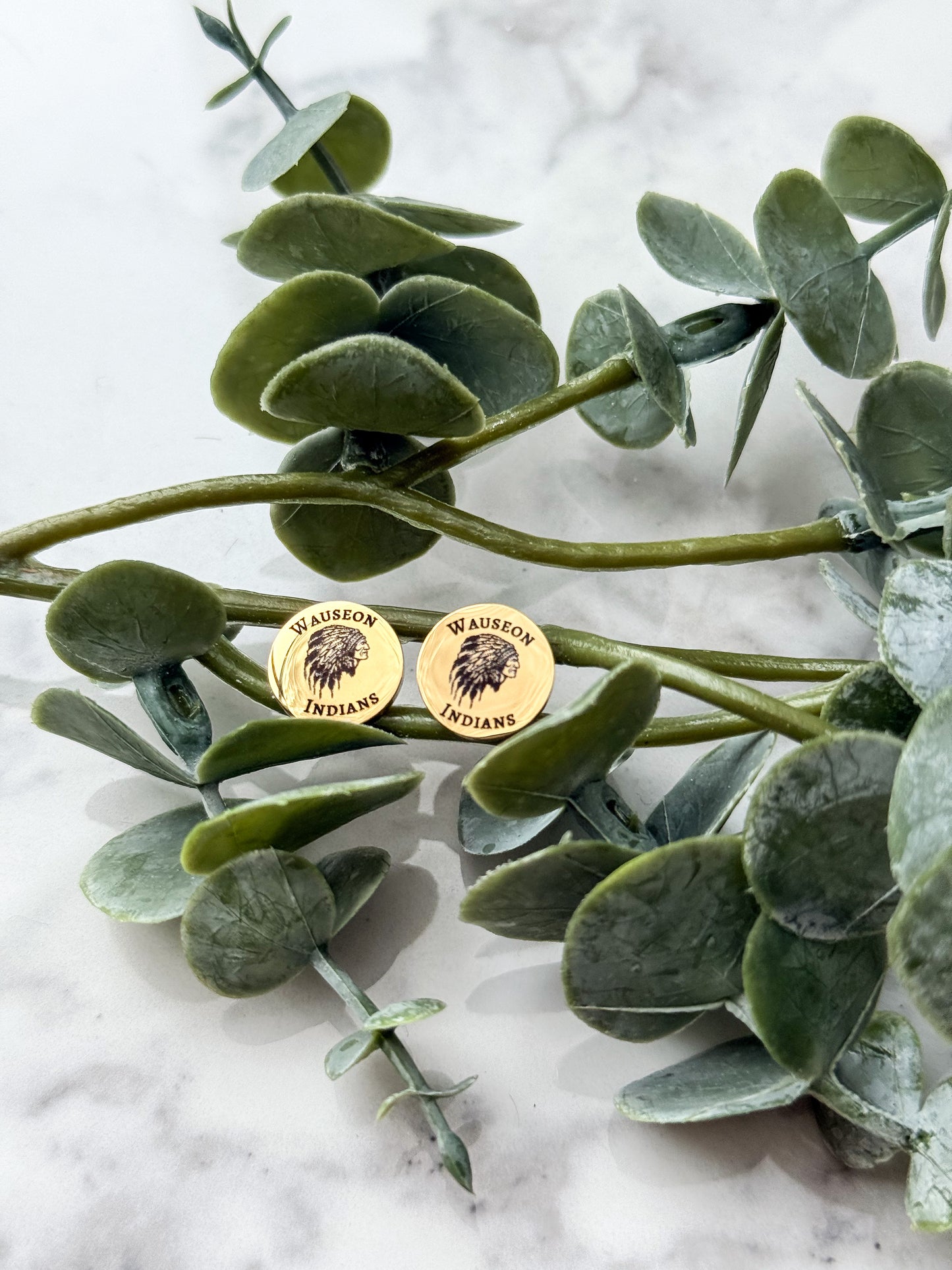 Wauseon Indians Stud Earrings